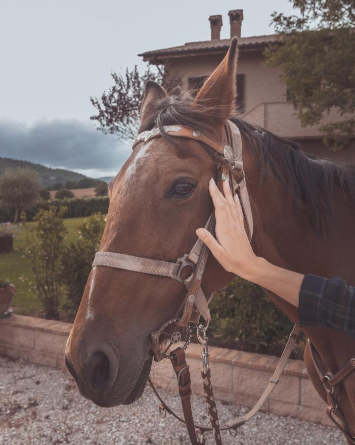 Agriturismo Querceto Mocaiana Экстерьер фото