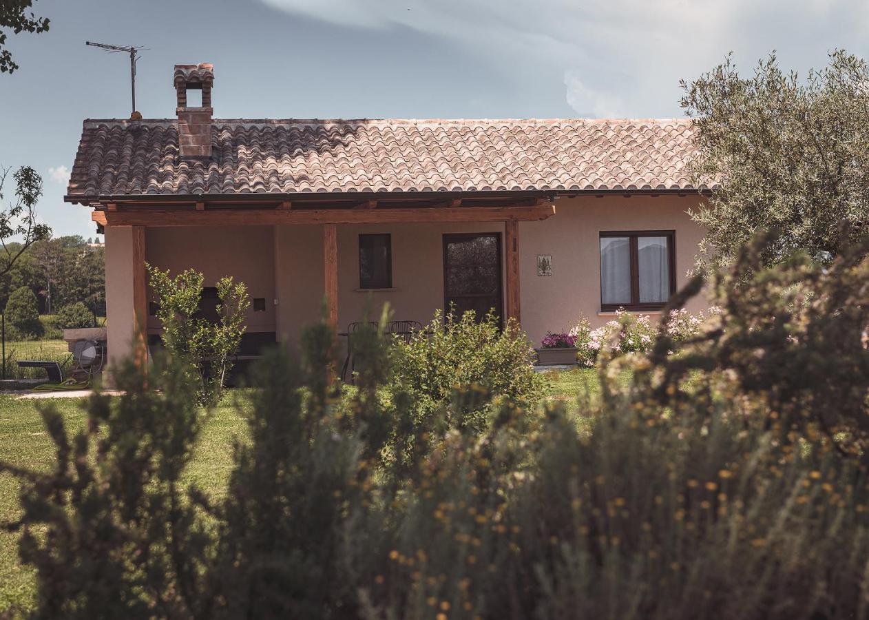 Agriturismo Querceto Mocaiana Экстерьер фото